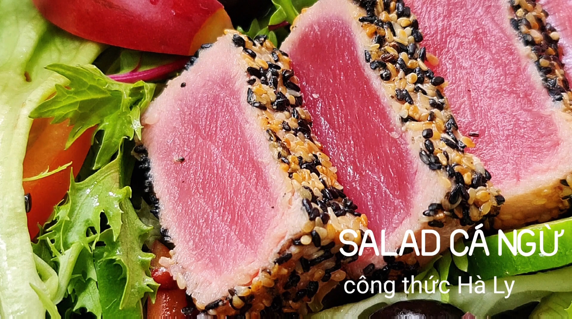 món salad cá ngừ